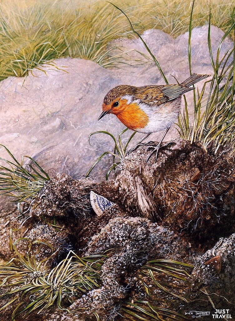  e (Dick winny), ac o-aac. #art #travel #world