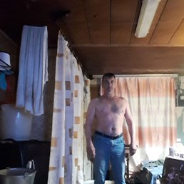 , 53 , 