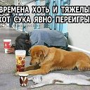 ���� Apt�p, ������������, 60 ��� - ��������� 9 ������ 2023 � ������ ������ ��������