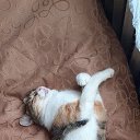 ���� ����, ����, 65 ��� - ��������� 7 ������� 2022