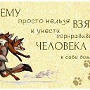 ���� ��������, ������, 62 ���� - ��������� 17 ������� 2022 � ������ ���� ����