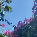 ���� ��������, ����������, 59 ��� - ��������� 26 ���� 2022 � ������ ���� ����������