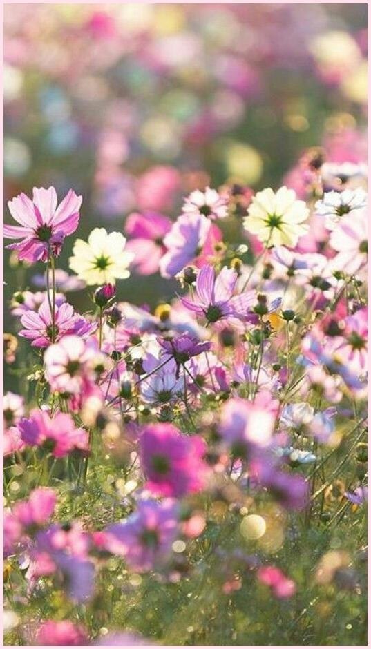 Handmade Club |  .y - 4