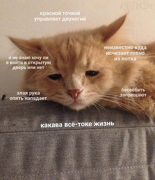   ,     