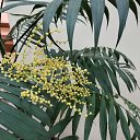 ���� ������, ���������, 54 ���� - ��������� 18 ������� 2022