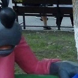 �����, ������, 42 ����