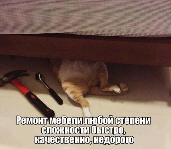    - 12  2022  00:42