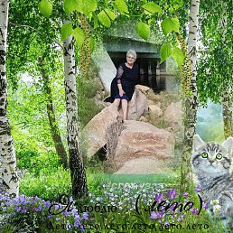 �������, �����������, 43 ����