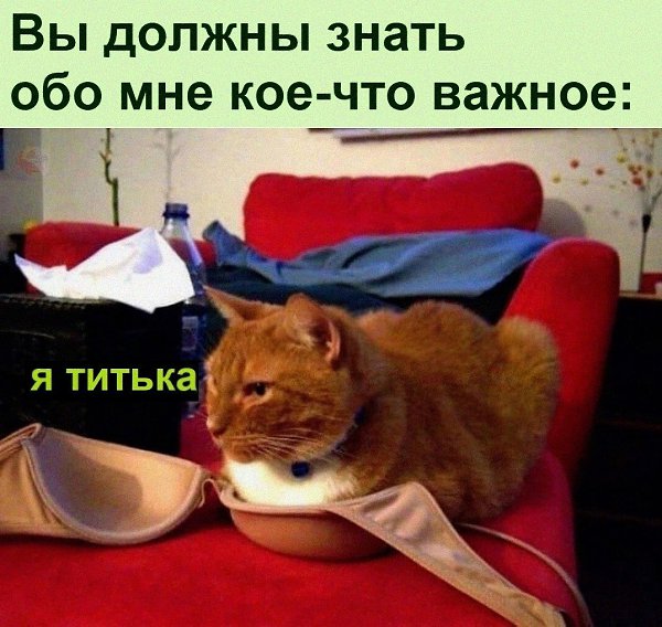 ������ ��������� :D - 9 ������� 2022 � 12:46