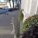 ���� ������, ���������, 49 ��� - ��������� 12 ������� 2022 � ������ ������ ��������