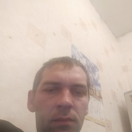 , 33, 