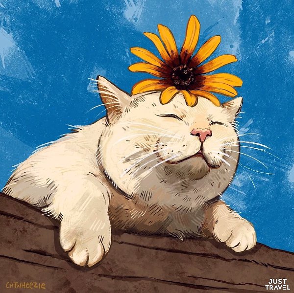 o catwhzi.#art #travel #world - 2