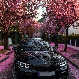 ���� �����, �����, 38 ��� - ��������� 4 ���� 2022