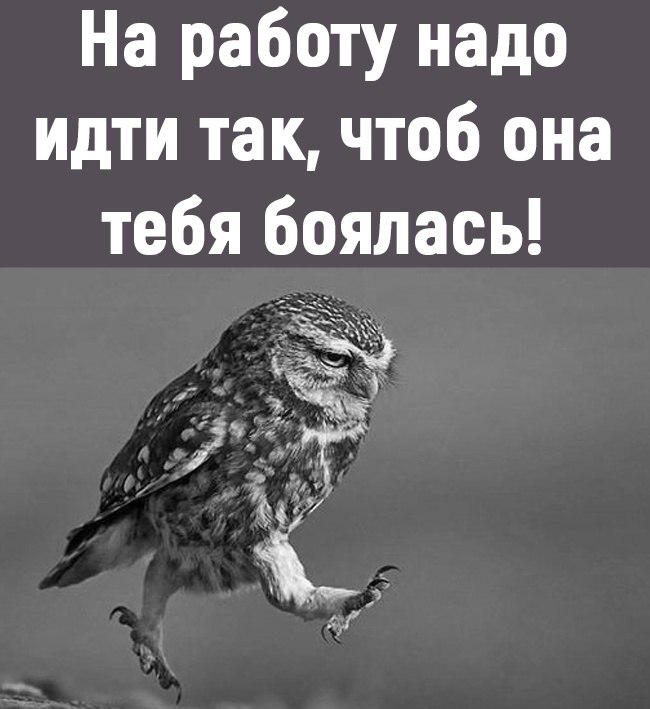 ������������� ���� - 3 ������� 2022 � 07:47