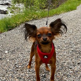 Ludmila, ������, 73 ����