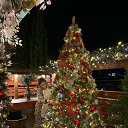 ���� �������, �����������, 51 ��� - ��������� 5 ������ 2023 � ������ ���� ����������