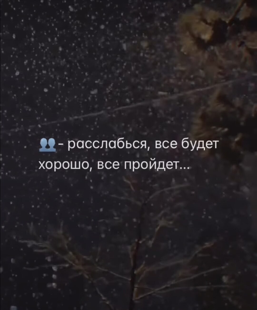 ***Victoria Viktorovna*** - 5  2022  17:05 - 3