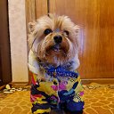 ���� Aleksandr, �����������, 26 ��� - ��������� 14 ������� 2022 � ������ ���� ����������