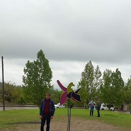 , , 46 