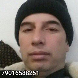 ���� ���������, �������, 44 ���� - ��������� 15 ������� 2022