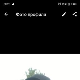 ������, ������, 41 ���