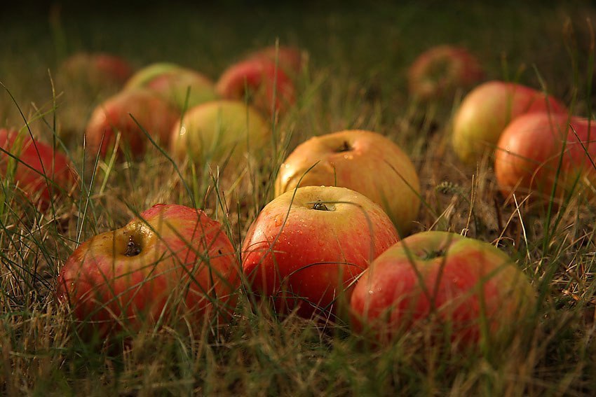 ПРИВЕТСТВИЯ и ПОЖЕЛАНИЯ, открытки на каждый день. - 26 августа 2022 в 19:58