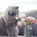 ���� ������, ����������� - ��������� 10 ������� 2022 � ������ ���� ����������