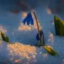 ���� Suiu, ������� - ��������� 15 ������� 2023 � ������ ���� ����������