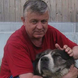 ������, ������, 85 ���