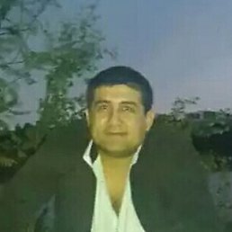 Madyor, ���������, 41 ���