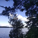 ���� ���������, �����, 54 ���� - ��������� 12 ������ 2022 � ������ ���� ����������