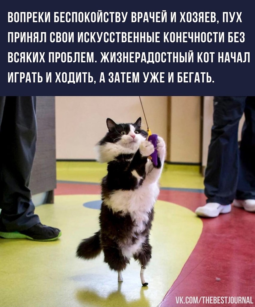 BEST | , ,  - 2  2022  21:41 - 3