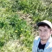   , 31 , 