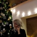 ���� ����, ���������, 49 ��� - ��������� 23 ������ 2023 � ������ ���� ����������