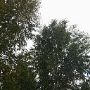  , , 49  -  6  2023