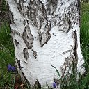 ���� �������, ����� - ��������� 21 ������ 2022 � ������ ���� ����������