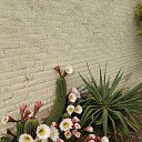 ���� ������, �����, 58 ��� - ��������� 14 ������� 2022 � ������ ���� ����������