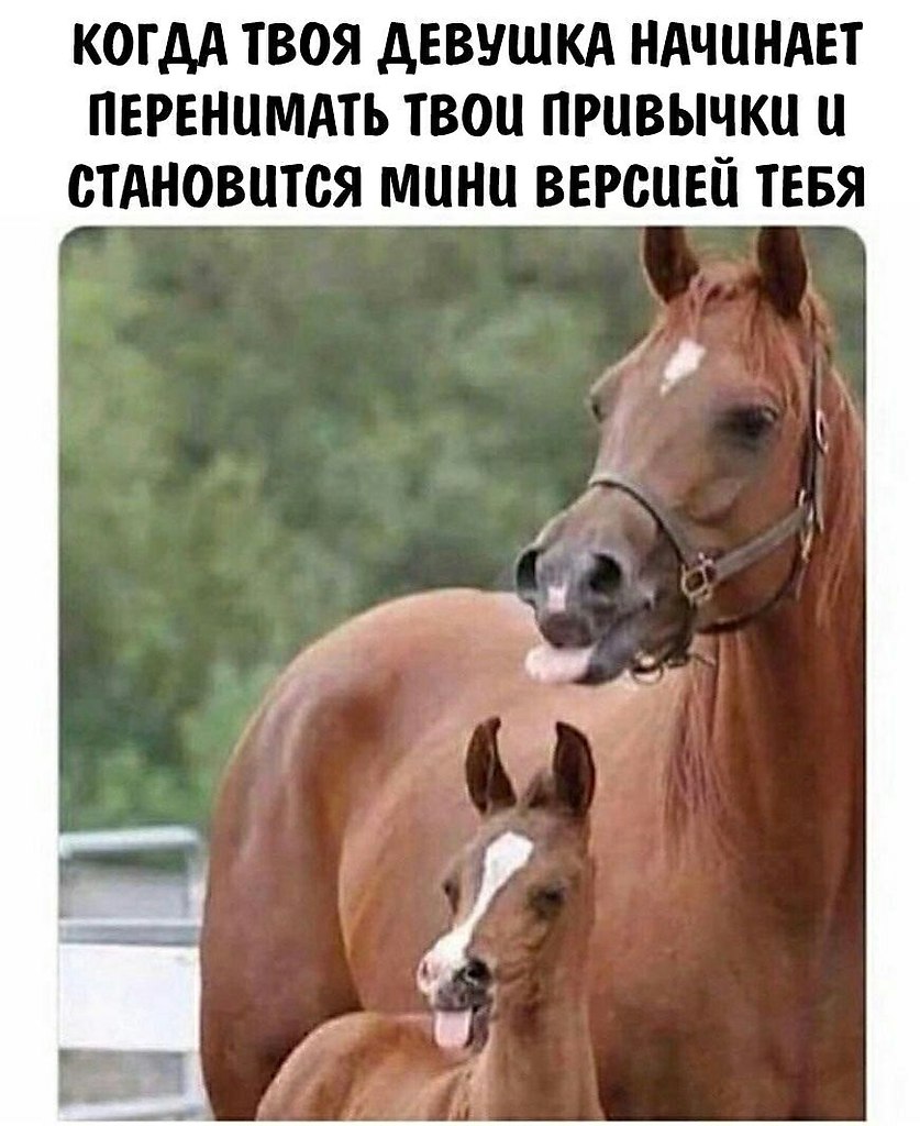    - 8  2023  22:27