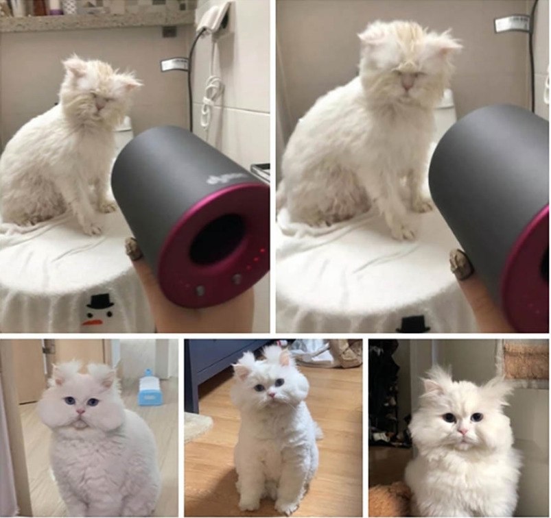 Это я, каждый раз после укладки...