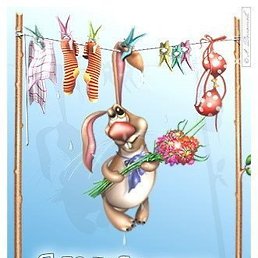 ����, ������, 53 ����