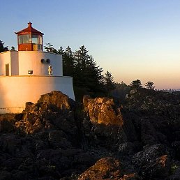 ����, ����������, 41 ���