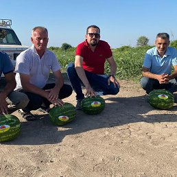 Gulaga, ������, 43 ����