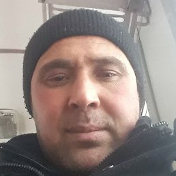 �����, �����-���������, 40 ���