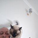 ���� ������, ������, 54 ���� - ��������� 28 ������ 2022