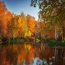 ���� ����������, ������ - ��������� 11 �������� 2022 � ������ ������ ��������
