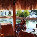 ���� ����, ���, 61 ��� - ��������� 8 ������ 2022