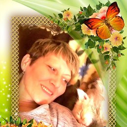 �����, ��������, 61 ���