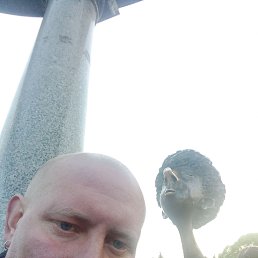 ���� ����, �����-���������, 40 ��� - ��������� 19 ���� 2022