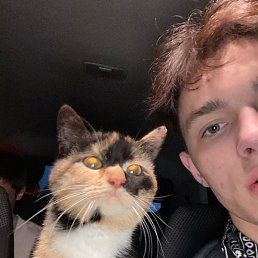 �����, ������, 22 ����