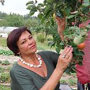 ���� �����, ������, 62 ���� - ��������� 28 ������� 2022